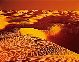 《Apex英雄》第17赛季战斗通行证预告 明日上线