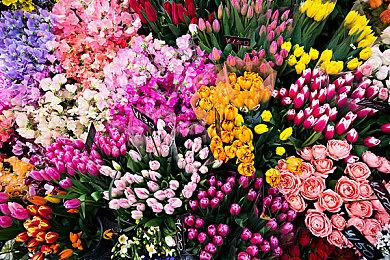 《战地6》门户模式 EA叫停自制COD经典地图